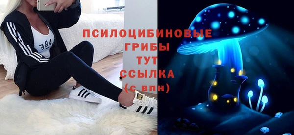 spice Аркадак