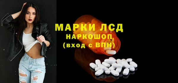 spice Аркадак