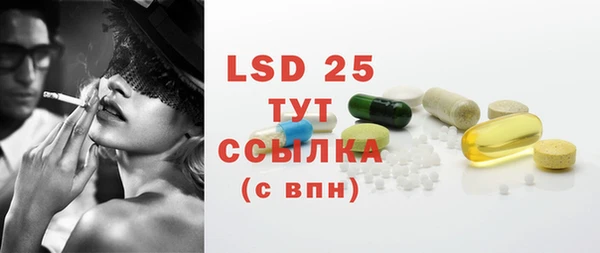 spice Аркадак