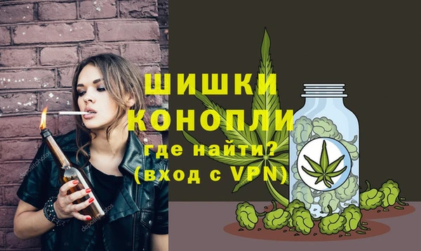 бошки Арсеньев