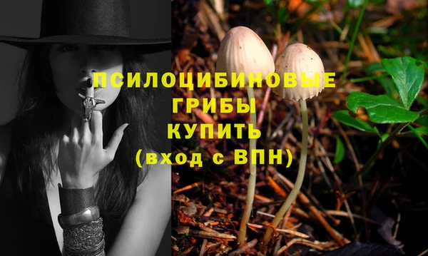 spice Аркадак