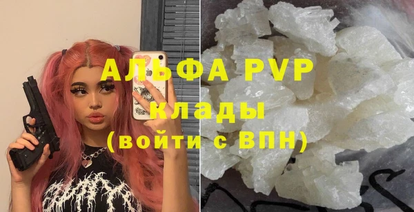 spice Аркадак