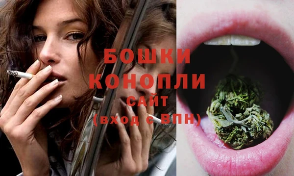 spice Аркадак