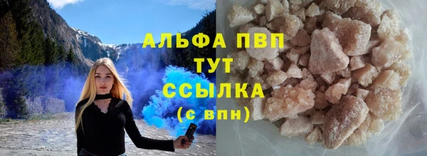 spice Аркадак