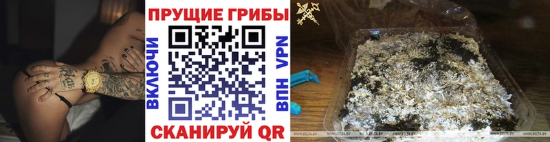 Псилоцибиновые грибы мицелий Кукмор