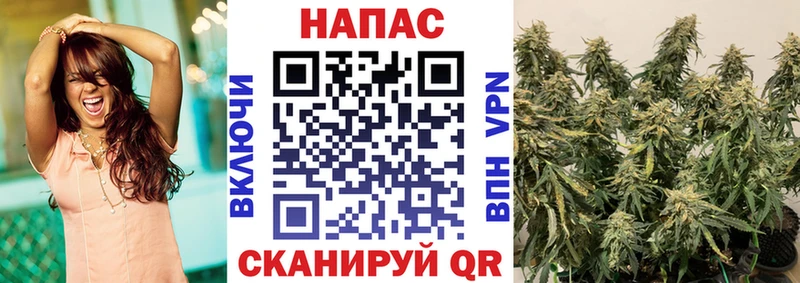 Бошки марихуана семена  наркотики  omg   Кукмор 